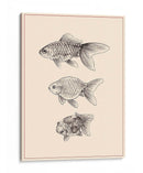 Goldfish Iv - Melissa Wang | Cuadro decorativo de Canvas Lab
