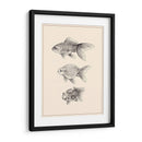 Goldfish Iv - Melissa Wang | Cuadro decorativo de Canvas Lab