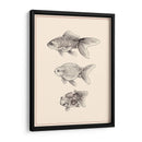 Goldfish Iv - Melissa Wang | Cuadro decorativo de Canvas Lab