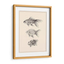 Goldfish Iv - Melissa Wang | Cuadro decorativo de Canvas Lab