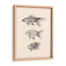 Goldfish Iv - Melissa Wang | Cuadro decorativo de Canvas Lab