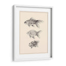 Goldfish Iv - Melissa Wang | Cuadro decorativo de Canvas Lab