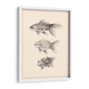 Goldfish Iv - Melissa Wang | Cuadro decorativo de Canvas Lab