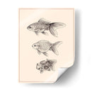 Goldfish Iv - Melissa Wang | Cuadro decorativo de Canvas Lab