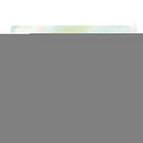 Marsh Morning Ii - June Erica Vess | Cuadro decorativo de Canvas Lab