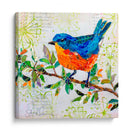 Pájaro Feliz I - Elizabeth St. Hilaire | Cuadro decorativo de Canvas Lab
