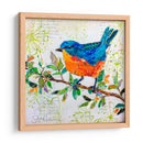 Pájaro Feliz I - Elizabeth St. Hilaire | Cuadro decorativo de Canvas Lab