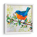 Pájaro Feliz I - Elizabeth St. Hilaire | Cuadro decorativo de Canvas Lab