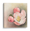 Flor De La Iluminación I - Georges Cuvier | Cuadro decorativo de Canvas Lab