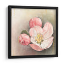 Flor De La Iluminación I - Georges Cuvier | Cuadro decorativo de Canvas Lab