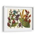 Arena Impresa Botánica Iii - Vision Studio | Cuadro decorativo de Canvas Lab