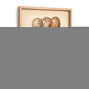 Estudio De Huevo De Aves I - Vision Studio | Cuadro decorativo de Canvas Lab