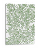 Ramas Musias - Duhamel du Monceau | Cuadro decorativo de Canvas Lab