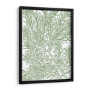 Ramas Musias - Duhamel du Monceau | Cuadro decorativo de Canvas Lab