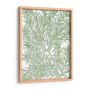 Ramas Musias - Duhamel du Monceau | Cuadro decorativo de Canvas Lab