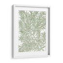 Ramas Musias - Duhamel du Monceau | Cuadro decorativo de Canvas Lab