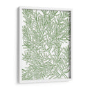 Ramas Musias - Duhamel du Monceau | Cuadro decorativo de Canvas Lab