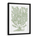 Ramas Mossy Ii - Duhamel du Monceau | Cuadro decorativo de Canvas Lab