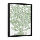 Ramas Mossy Ii - Duhamel du Monceau | Cuadro decorativo de Canvas Lab