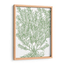 Ramas Mossy Ii - Duhamel du Monceau | Cuadro decorativo de Canvas Lab