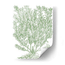 Ramas Mossy Ii - Duhamel du Monceau | Cuadro decorativo de Canvas Lab