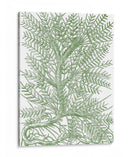 Ramas Mossy Iii - Duhamel du Monceau | Cuadro decorativo de Canvas Lab