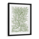 Ramas Mossy Iii - Duhamel du Monceau | Cuadro decorativo de Canvas Lab