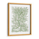 Ramas Mossy Iii - Duhamel du Monceau | Cuadro decorativo de Canvas Lab