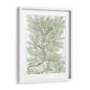 Ramas Mossy Iii - Duhamel du Monceau | Cuadro decorativo de Canvas Lab