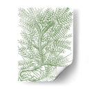 Ramas Mossy Iii - Duhamel du Monceau | Cuadro decorativo de Canvas Lab