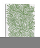 Ramas De Musgo Iv - Duhamel du Monceau | Cuadro decorativo de Canvas Lab