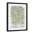 Ramas De Musgo Iv - Duhamel du Monceau | Cuadro decorativo de Canvas Lab