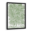 Ramas De Musgo Iv - Duhamel du Monceau | Cuadro decorativo de Canvas Lab