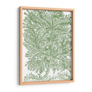 Ramas De Musgo Iv - Duhamel du Monceau | Cuadro decorativo de Canvas Lab