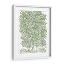 Ramas De Musgo Iv - Duhamel du Monceau | Cuadro decorativo de Canvas Lab