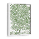 Ramas De Musgo Iv - Duhamel du Monceau | Cuadro decorativo de Canvas Lab