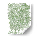 Ramas De Musgo Iv - Duhamel du Monceau | Cuadro decorativo de Canvas Lab