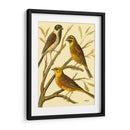 Familia De Aves Domésticas I - Bellissimo Art | Cuadro decorativo de Canvas Lab