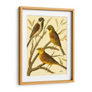 Familia De Aves Domésticas I - Bellissimo Art | Cuadro decorativo de Canvas Lab