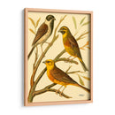 Familia De Aves Domésticas I - Bellissimo Art | Cuadro decorativo de Canvas Lab