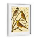 Familia De Aves Domésticas I - Bellissimo Art | Cuadro decorativo de Canvas Lab