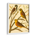 Familia De Aves Domésticas I - Bellissimo Art | Cuadro decorativo de Canvas Lab