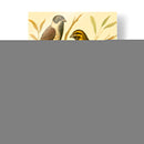 Familia De Aves Domésticas I - Bellissimo Art | Cuadro decorativo de Canvas Lab