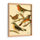 Familia De Aves Domésticas Iii - Bellissimo Art | Cuadro decorativo de Canvas Lab