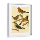 Familia De Aves Domésticas Iii - Bellissimo Art | Cuadro decorativo de Canvas Lab