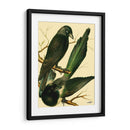 Familia De Aves Domésticas V - Bellissimo Art | Cuadro decorativo de Canvas Lab