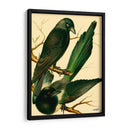 Familia De Aves Domésticas V - Bellissimo Art | Cuadro decorativo de Canvas Lab