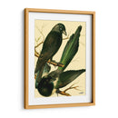 Familia De Aves Domésticas V - Bellissimo Art | Cuadro decorativo de Canvas Lab