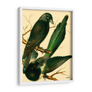 Familia De Aves Domésticas V - Bellissimo Art | Cuadro decorativo de Canvas Lab