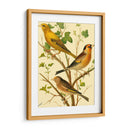 Familia De Aves Domésticas Vi - Bellissimo Art | Cuadro decorativo de Canvas Lab